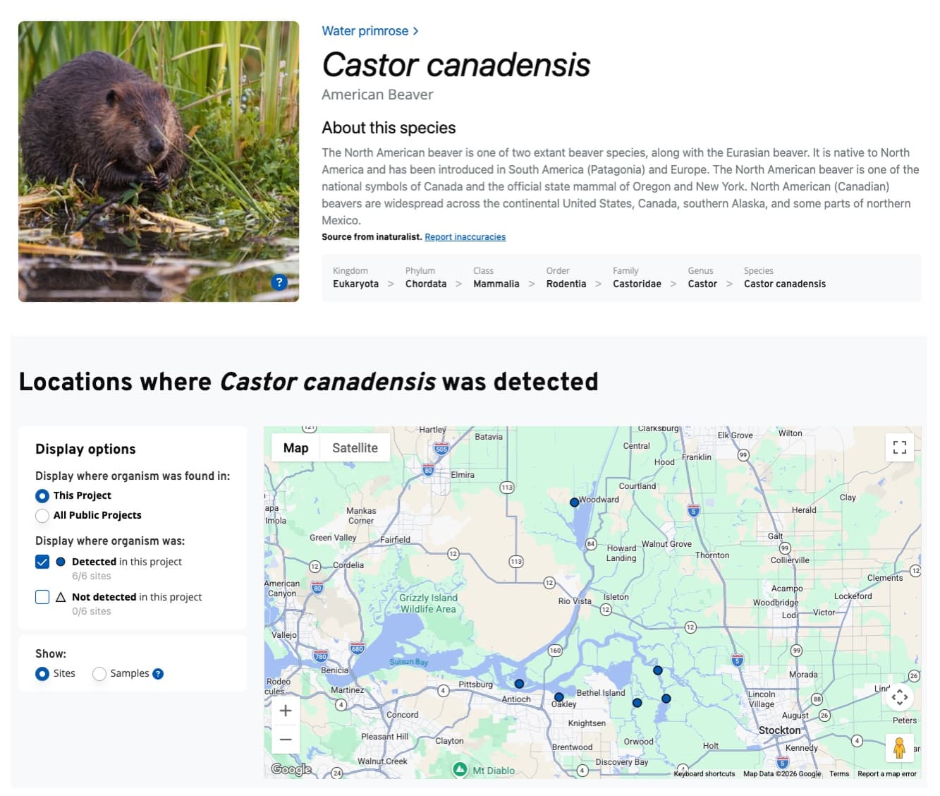 eDNA Explorer - Species Detail Page